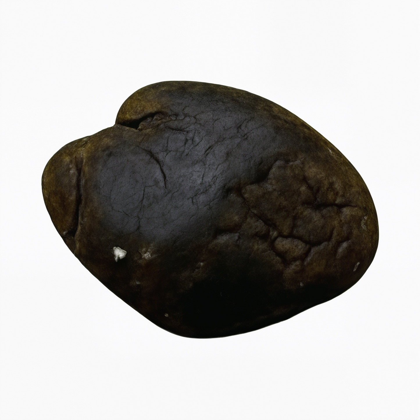 Professor Herb Hemp Solid Extract (2g) - Bubble Hash (19%)